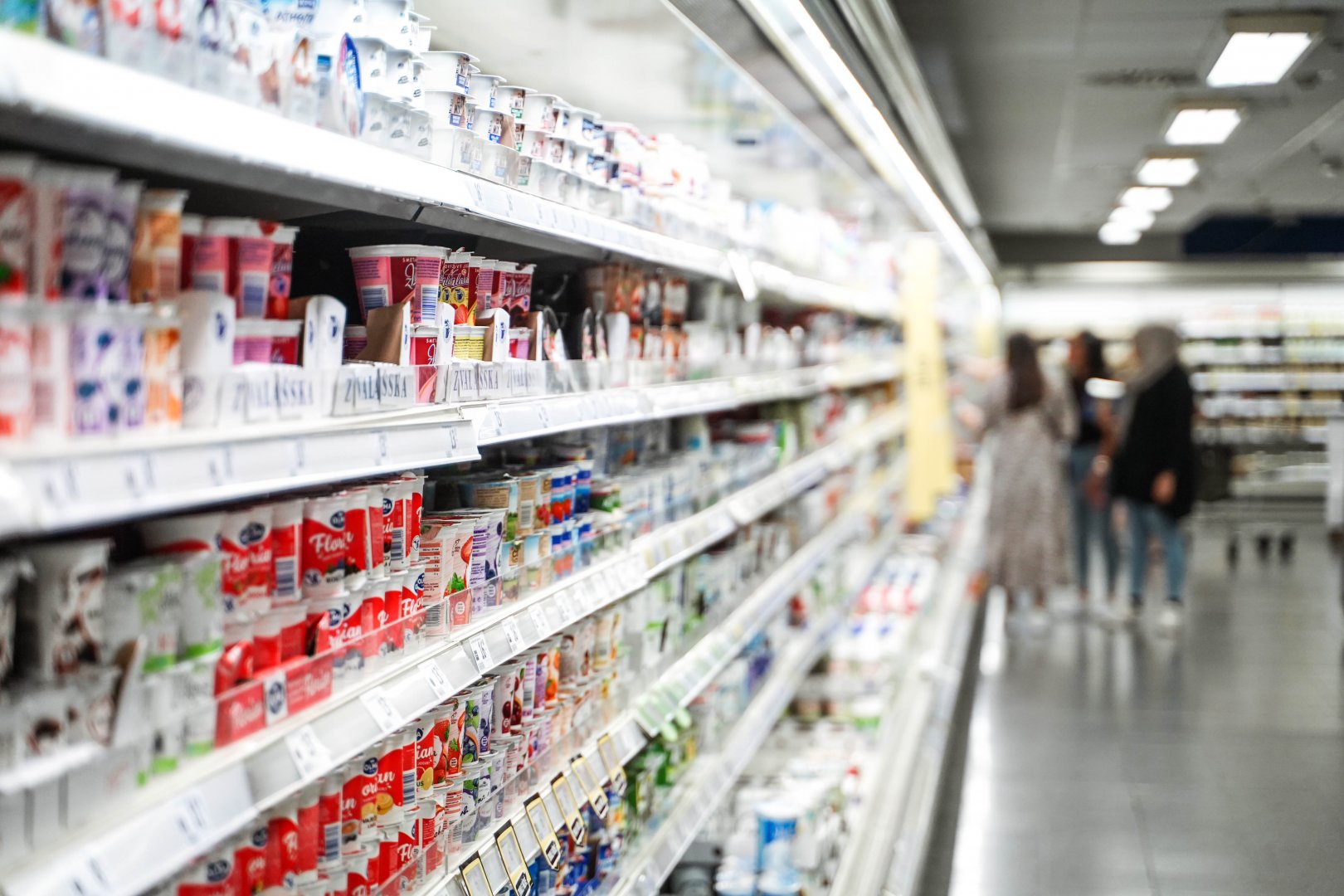 Albert supermarket